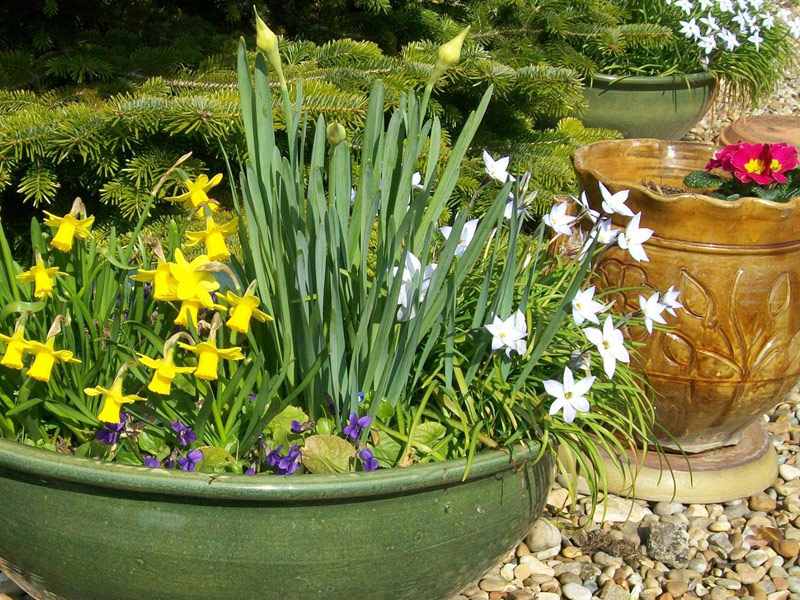 Décoration florale