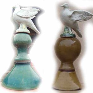 Epis pigeon