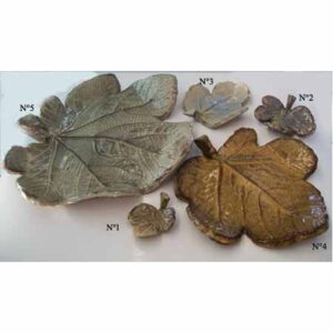 Feuille figuier